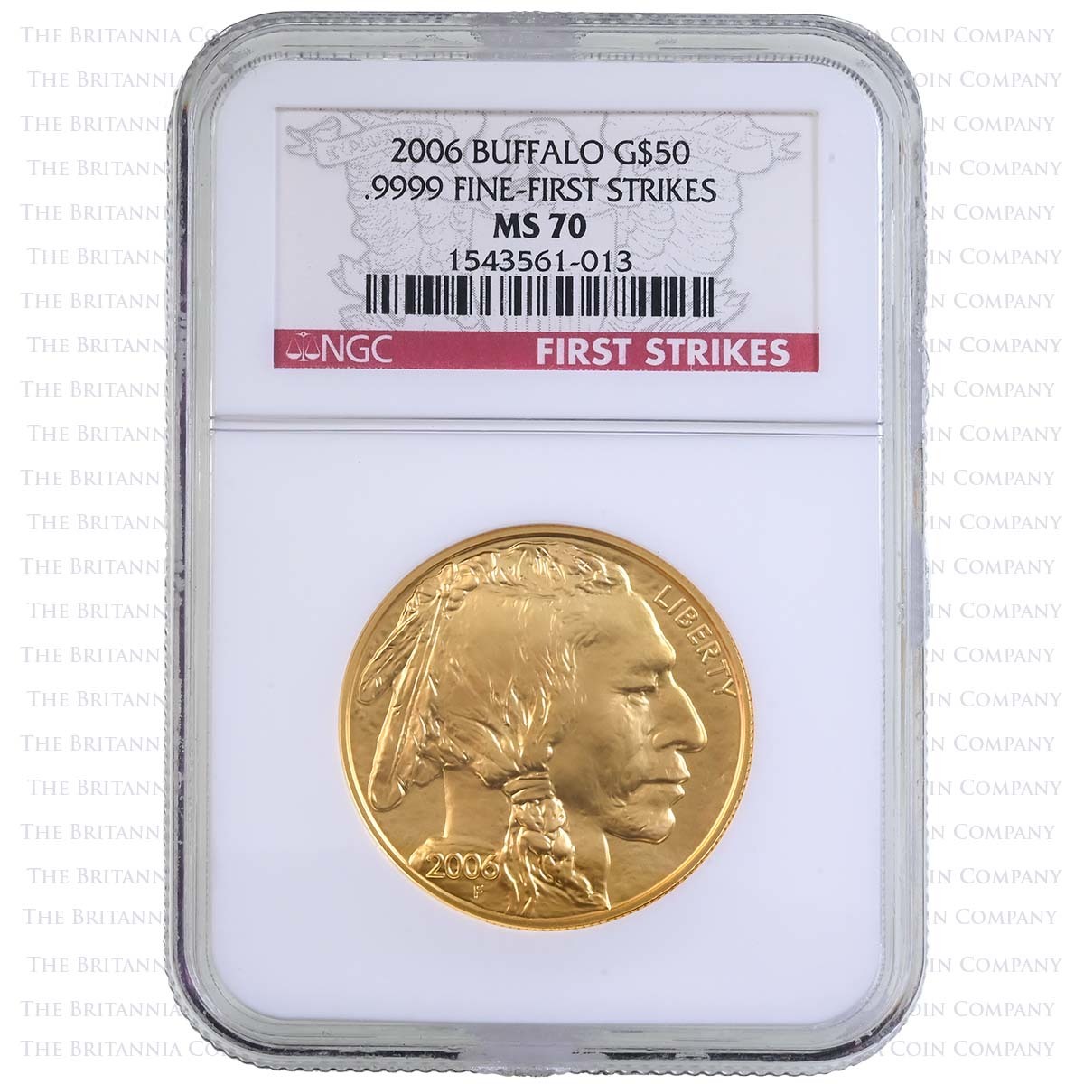 MS 70 First Strikes 2006 Buffalo : 1oz Gold | The Britannia Coin