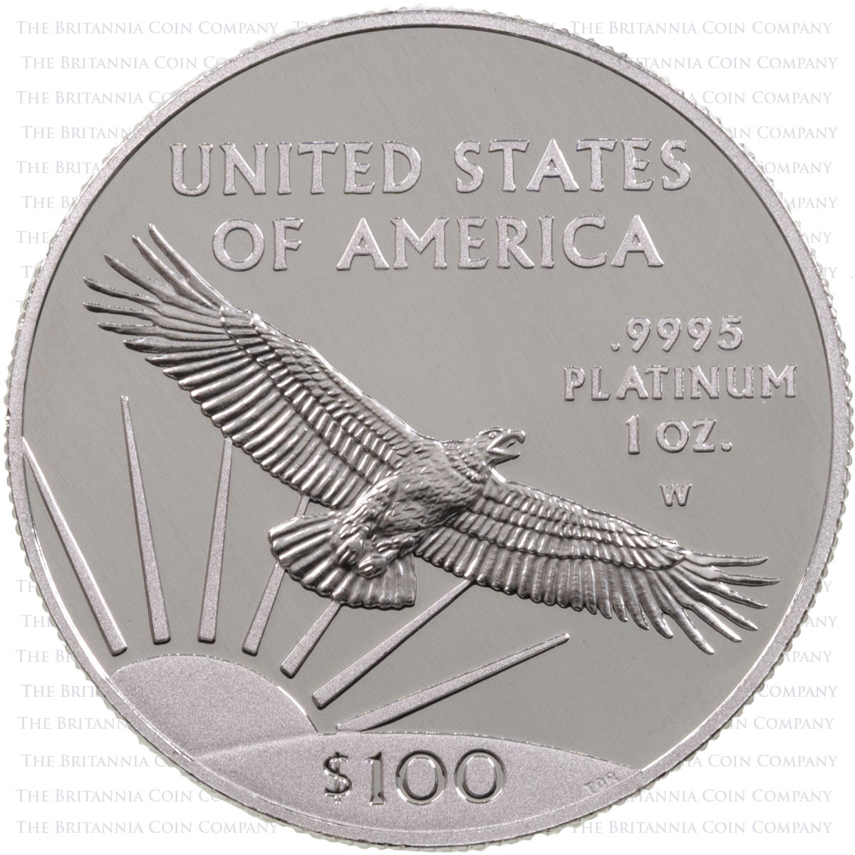 17EJ 2017 United States American Eagle One Ounce Platinum Proof Coin Reverse