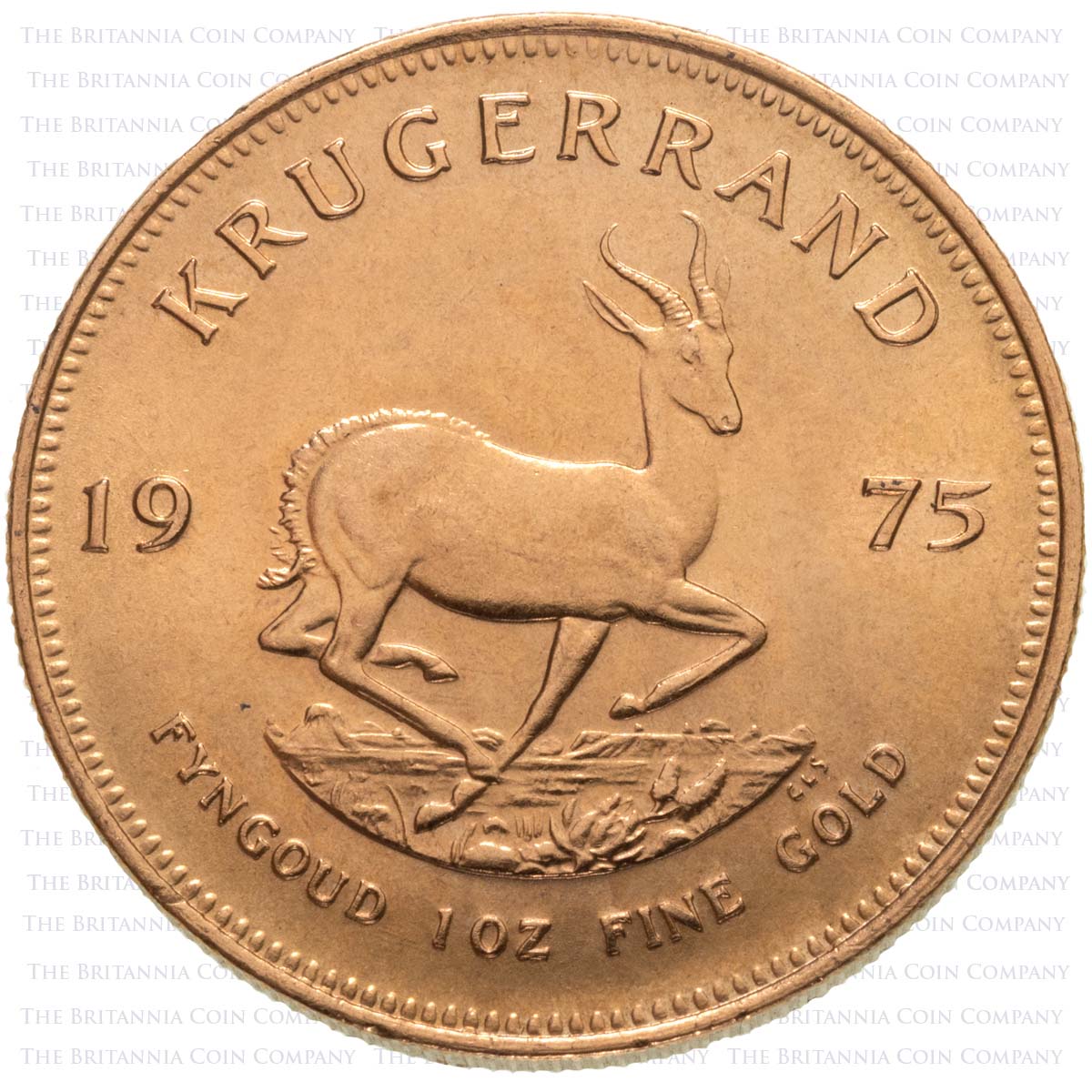 1 Ounce Gold Krugerrand : Pre Owned (Best Value) Reverse