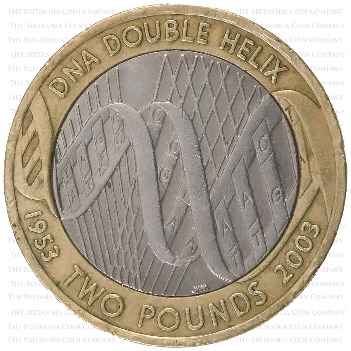 2003 DNA Double Helix Circulated Two Pound Coin Reverse