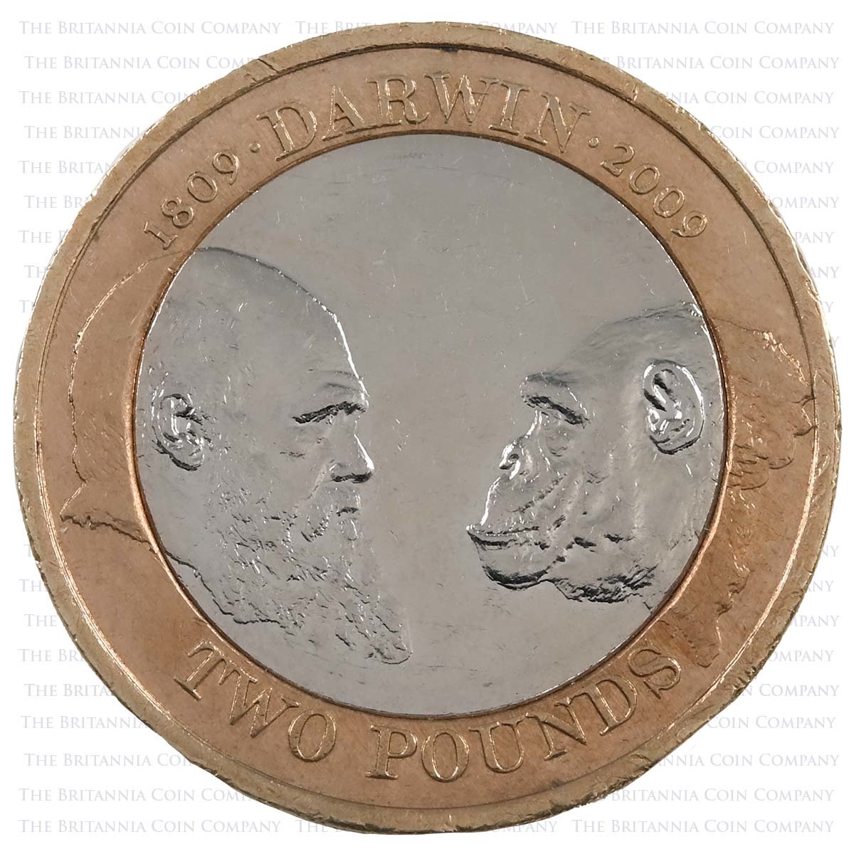 2009 Charles Darwin Circulated Two Pound Coin Reverse