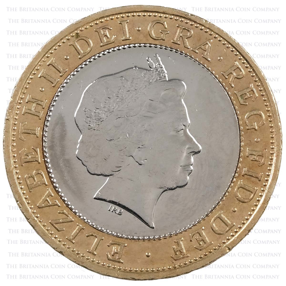 2009 Charles Darwin Circulated Two Pound Coin Obverse
