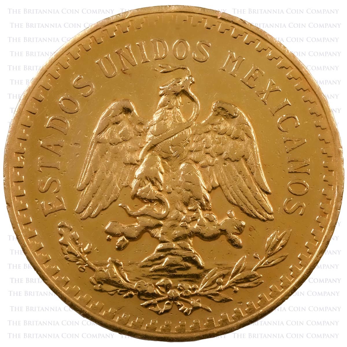 Mexican 50 Pesos Gold Coin (Best Value) Reverse
