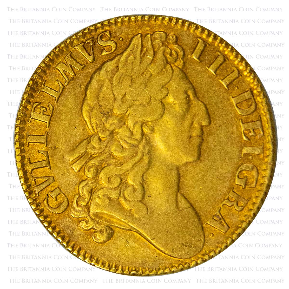 1701 William III Guinea Obverse