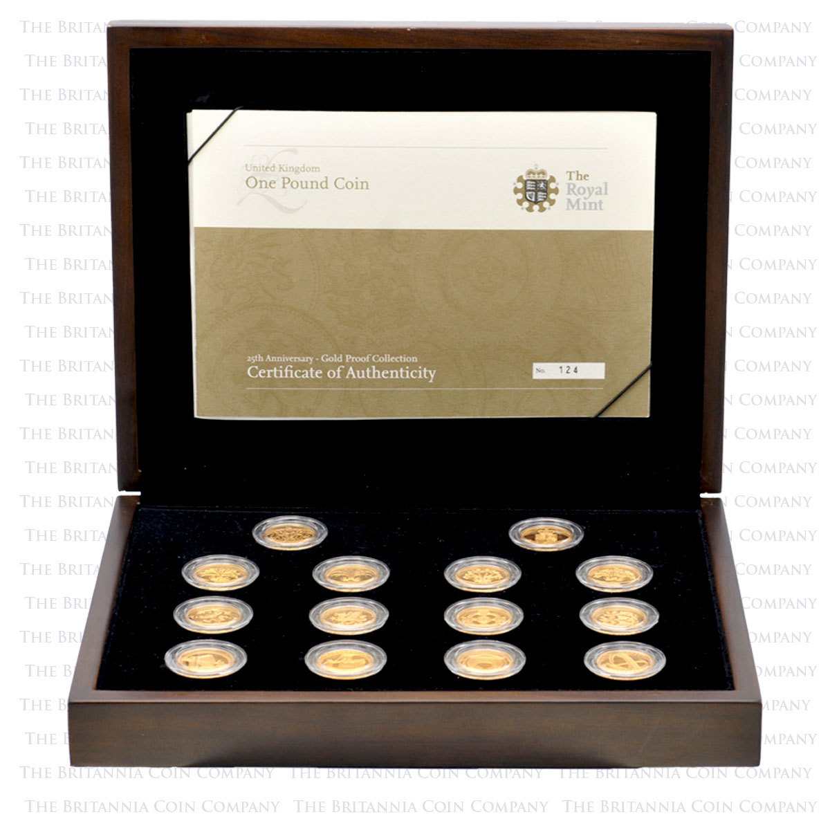 2008 One Pound Coin 25th Anniversary Gold Proof Collection