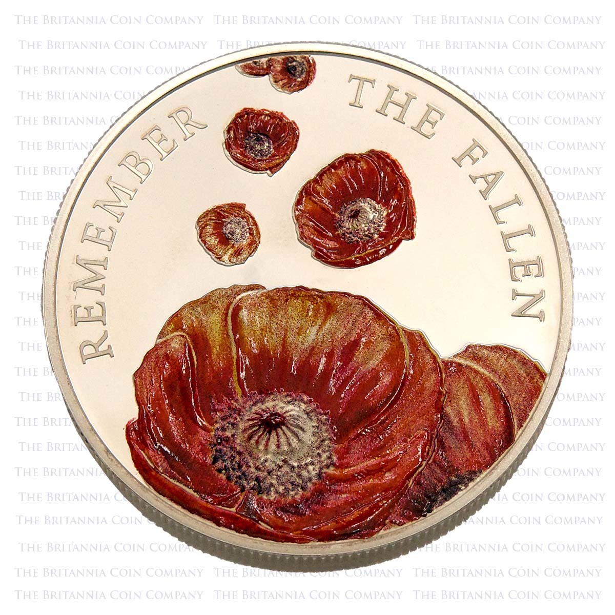2014 Alderney Remembrance Day £5 Silver Proof Reverse