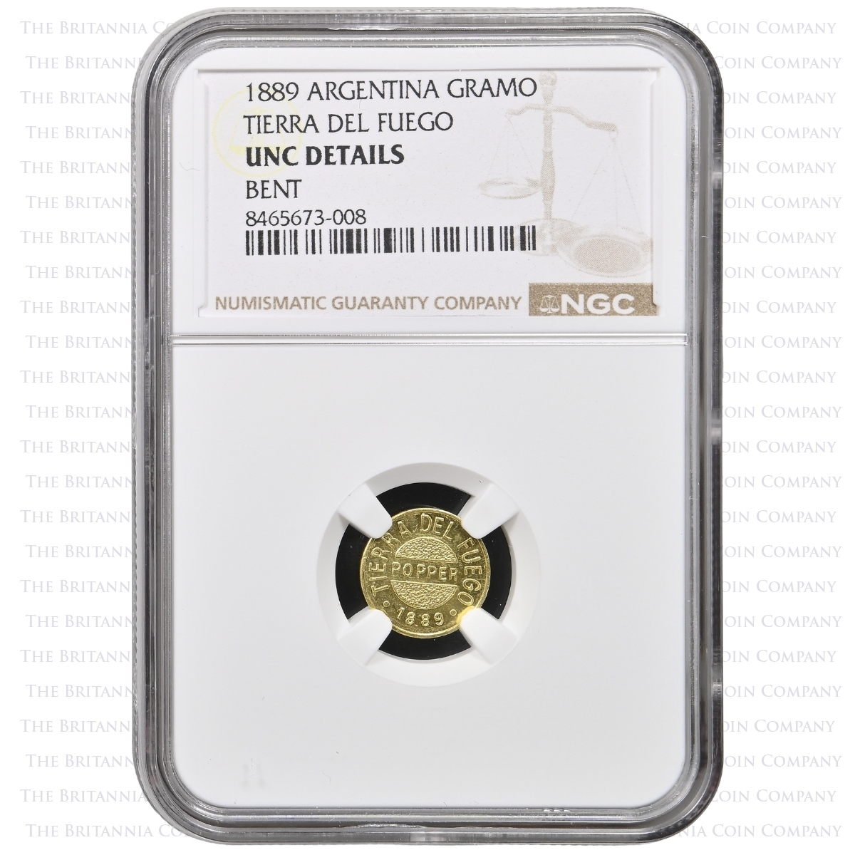 Tierra Del Fuego 1889 1 Gramo | NGC UNC Details