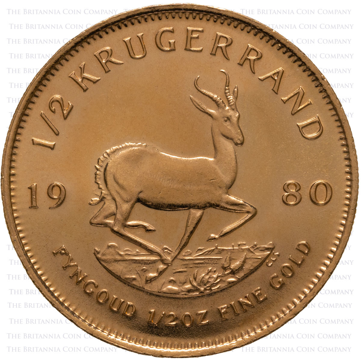 Half Ounce Gold Mixed-Date South African Krugerrand Bullion Coins (Best Value) Reverse