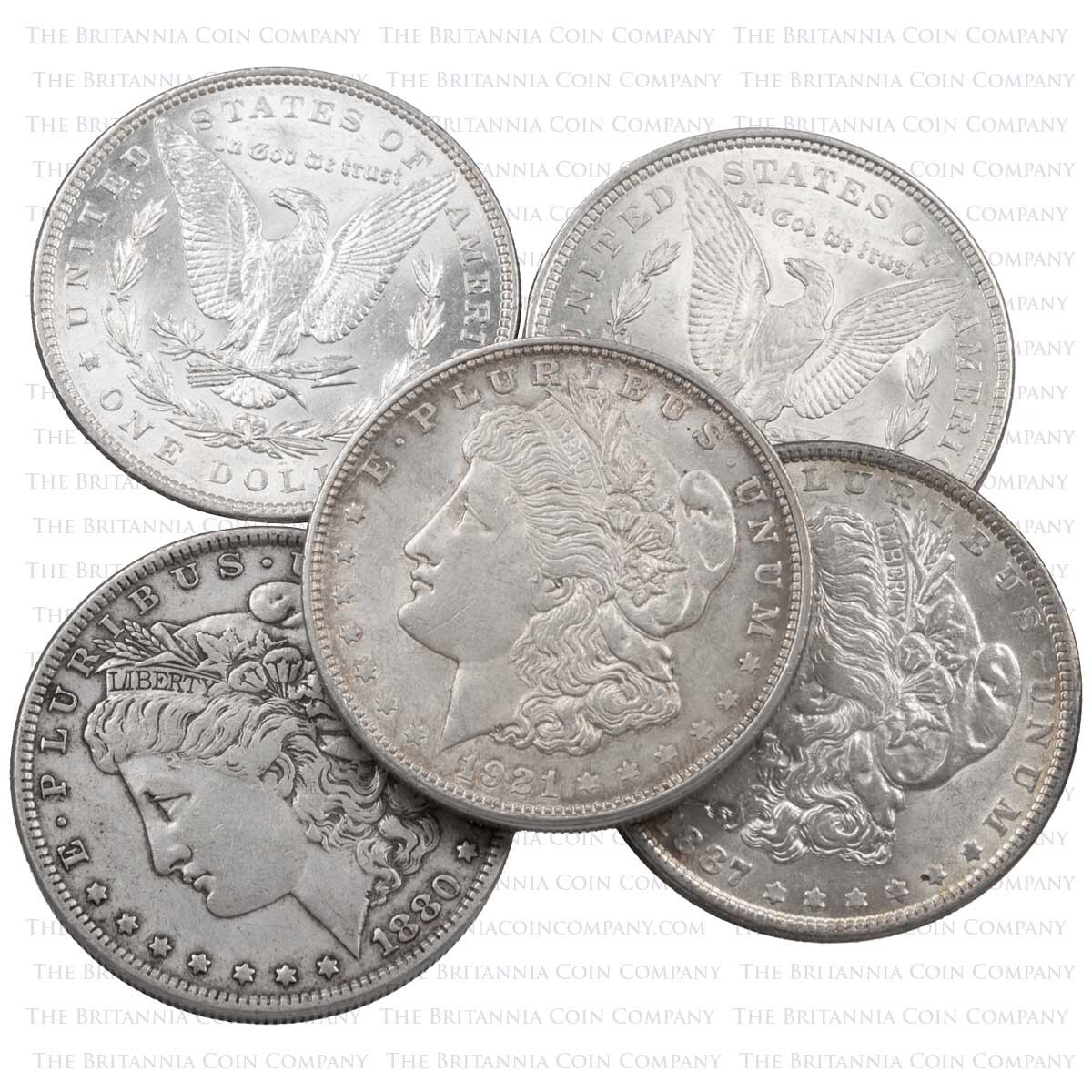 Morgan Dollar Silver United States Coin Group