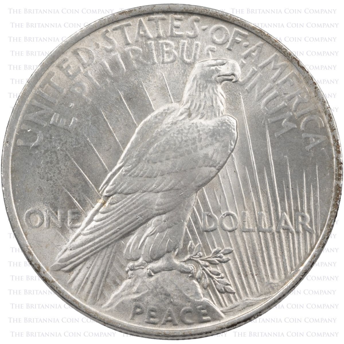 Peace Dollar Silver United States Coin Reverse