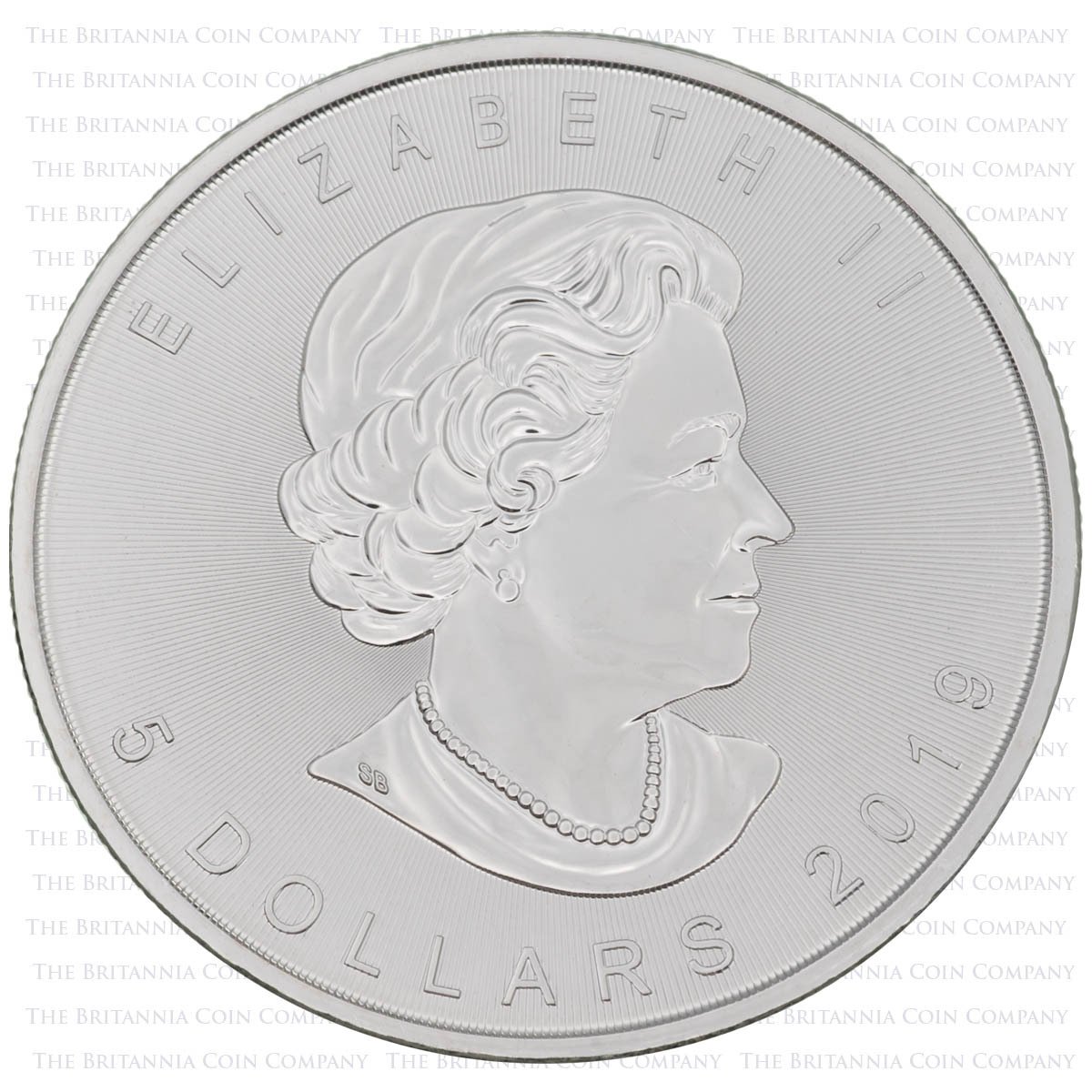 CA19MS1 2019 Maple Leaf One Ounce Silver Canadian Bullion Coin obverse effigy
