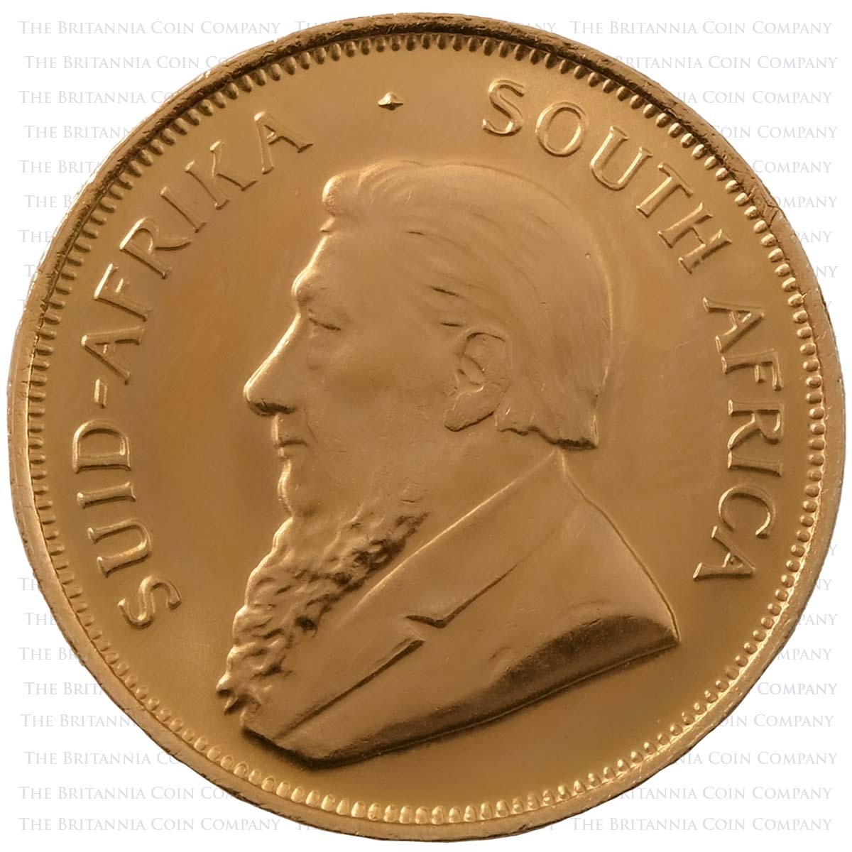 Half Ounce Gold Krugerrand : Pre Owned (Best Value) Obverse