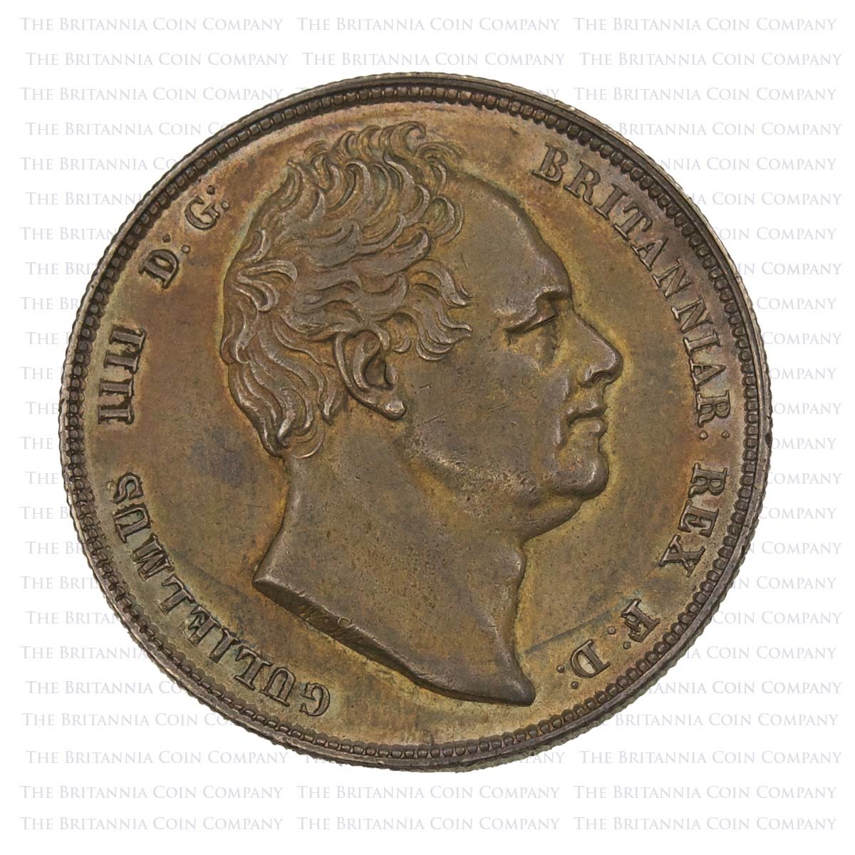 1834 William IV Silver Halfcrown Mantle Shield Obverse