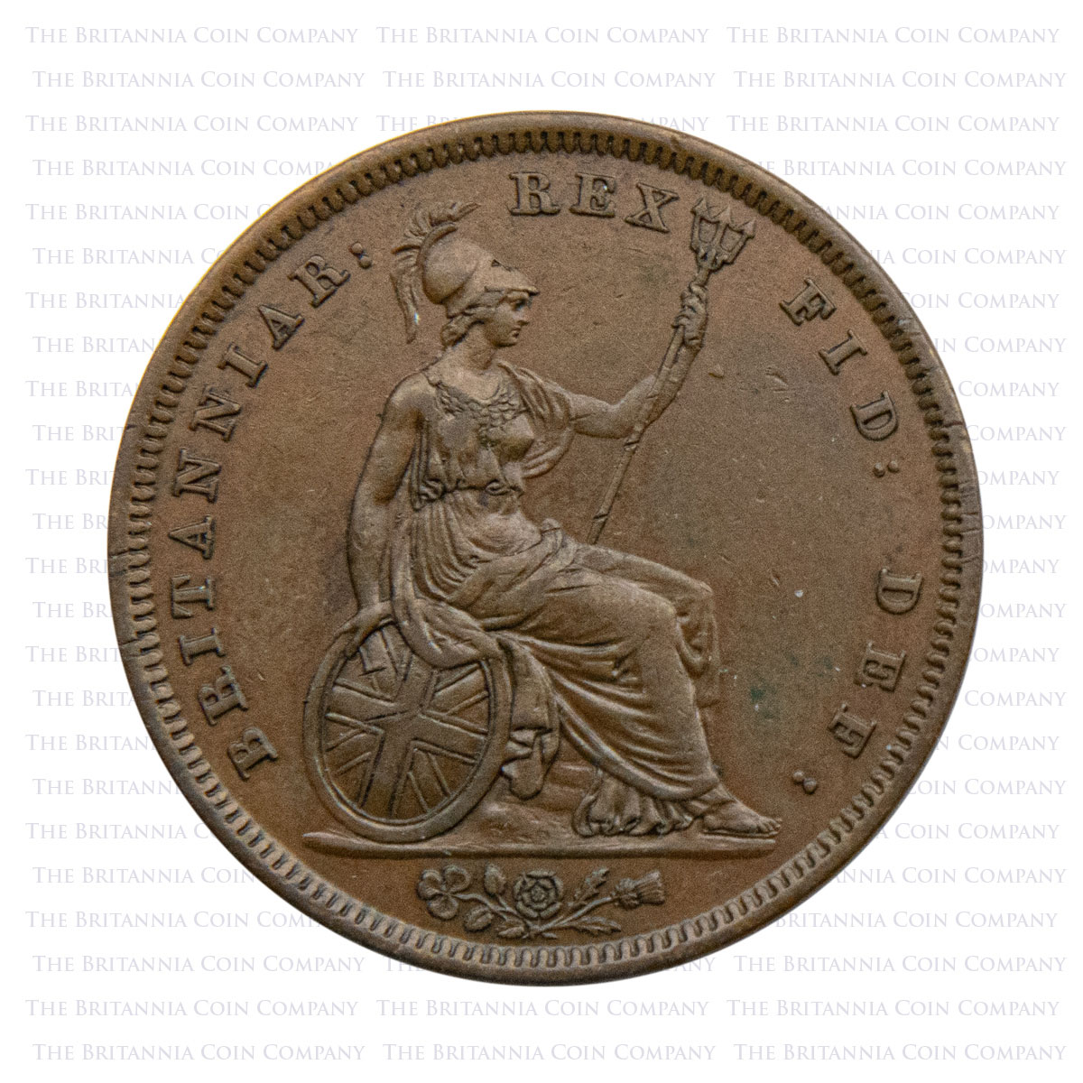 1831 William IV Copper Penny 3845 No Initials Reverse