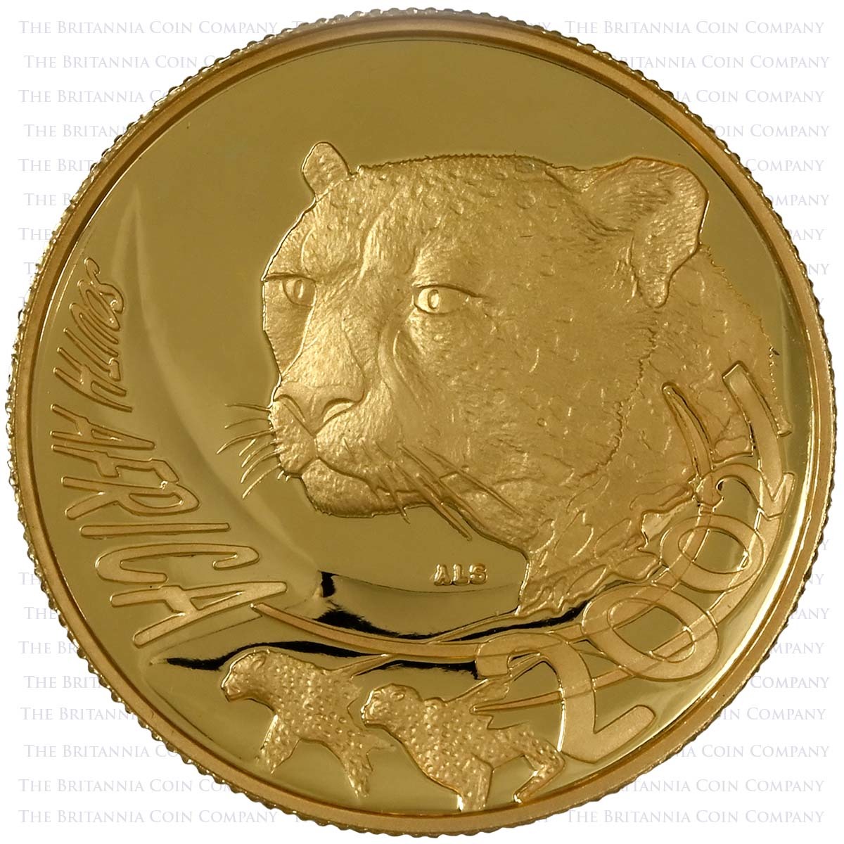 2002 South Africa Natura Cheetah Half Ounce Gold Proof Obverse