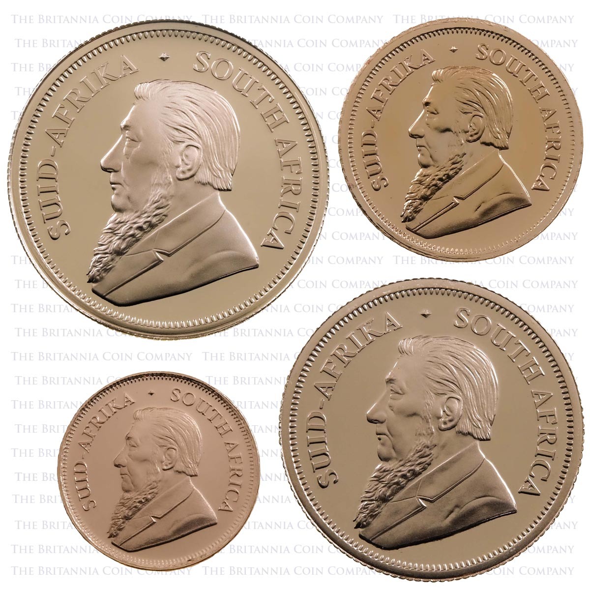 2019 Gold Proof Four Coin Fractional Krugerrand Set Obverses