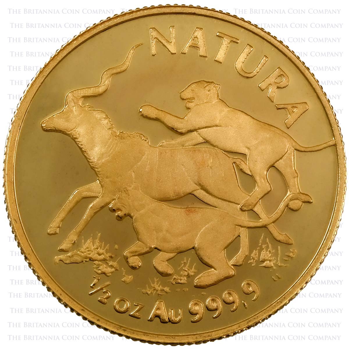 1994 South Africa Natura Lion Half Ounce Gold Proof Reverse