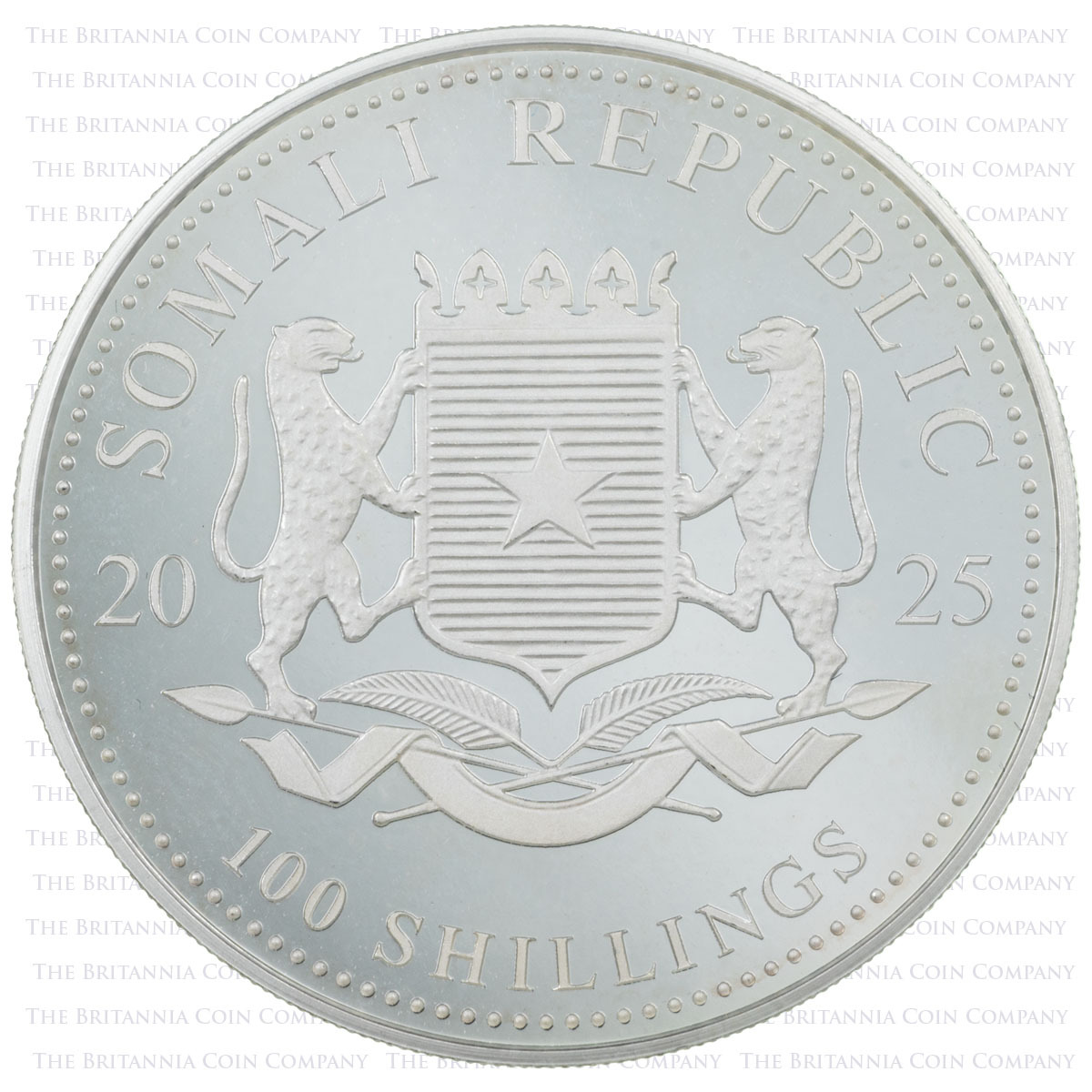 SM25ES1 2025 Elephant One Ounce Silver African Wildlife Somalian Bullion Coin obverse image