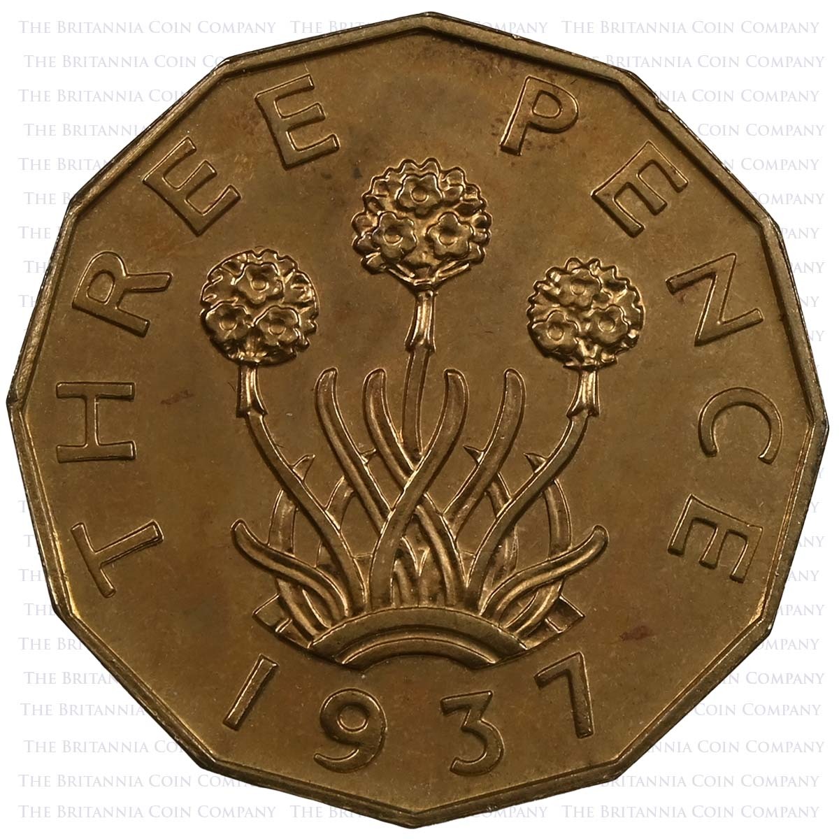 1937 George VI Coronation Proof Set Brass Threepence Reverse
