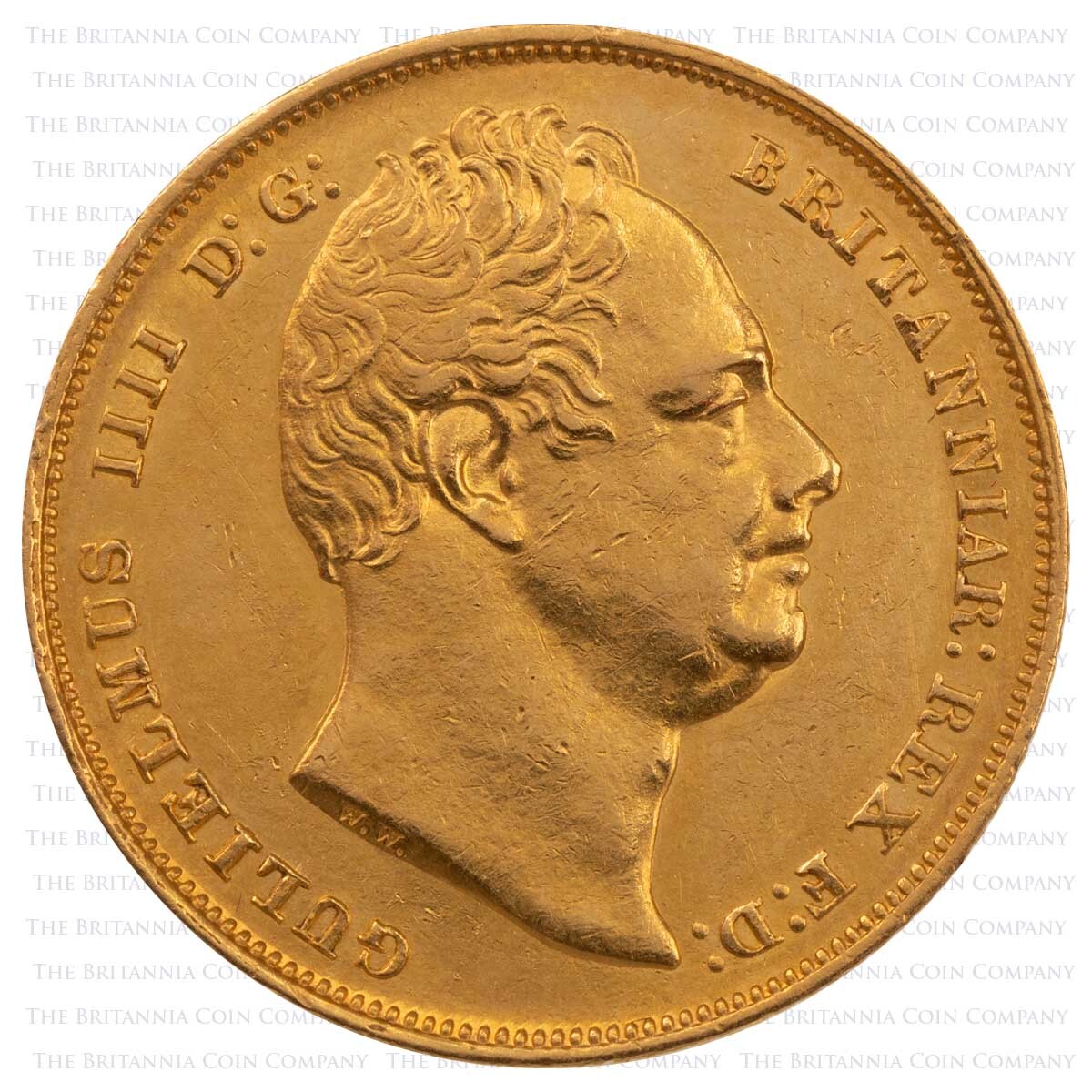 1831 Sovereign First Bust W.W. With Stops William IV Gold Coin Obverse