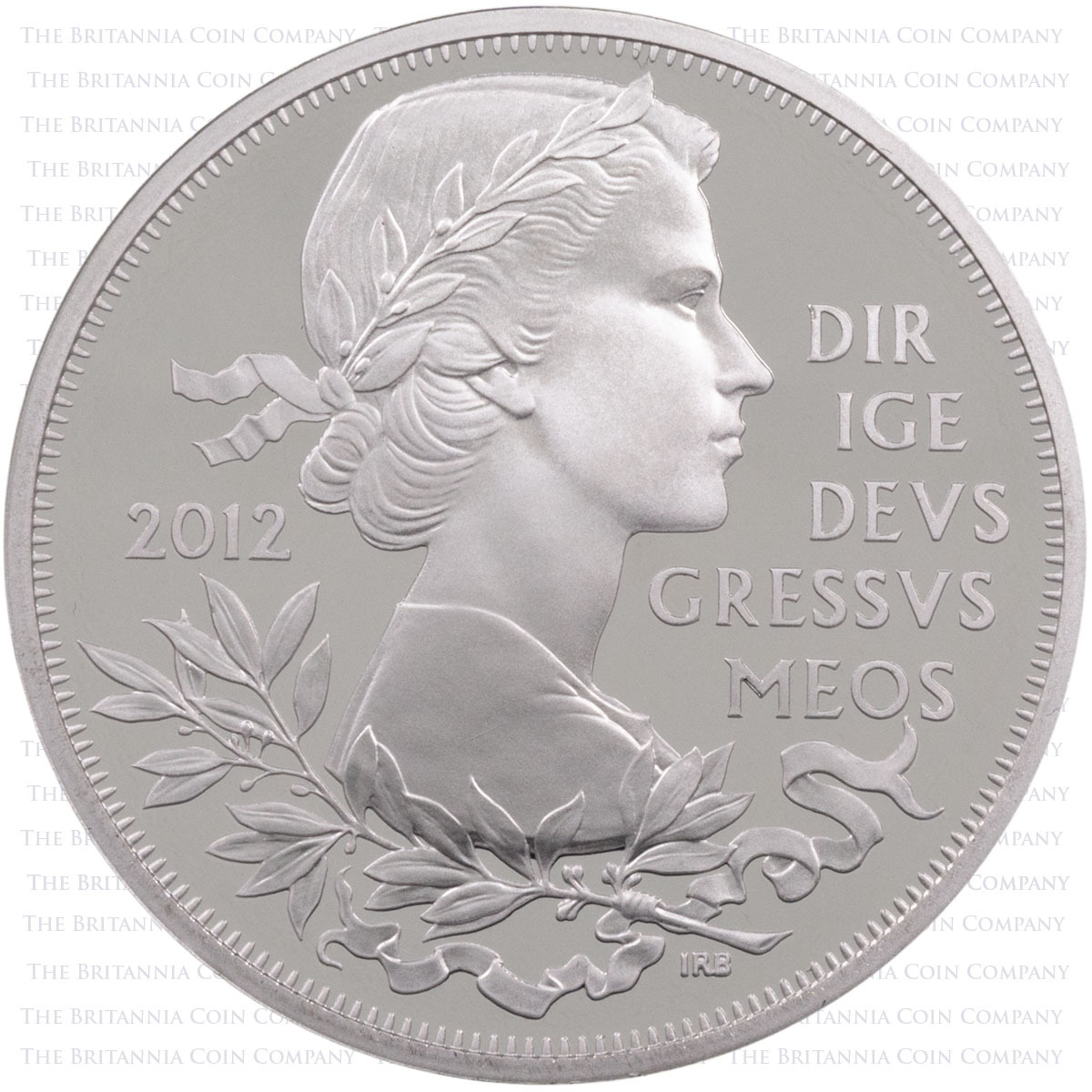 2012 Diamond Jubilee Five Pound Crown Piedfort Platinum Proof Coin Reverse