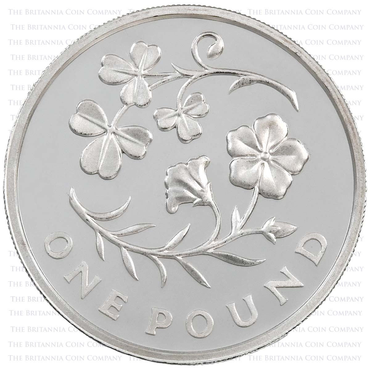UK14NISP 2014 Floral Icons Northern Ireland £1 Silver Proof Reverse