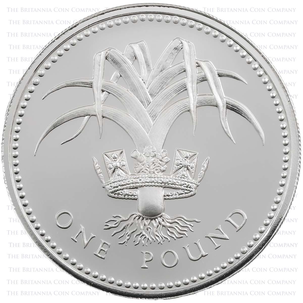 1984-1987 National Emblems One Pound Piedfort Silver Proof Four Coin Set Leek Reverse