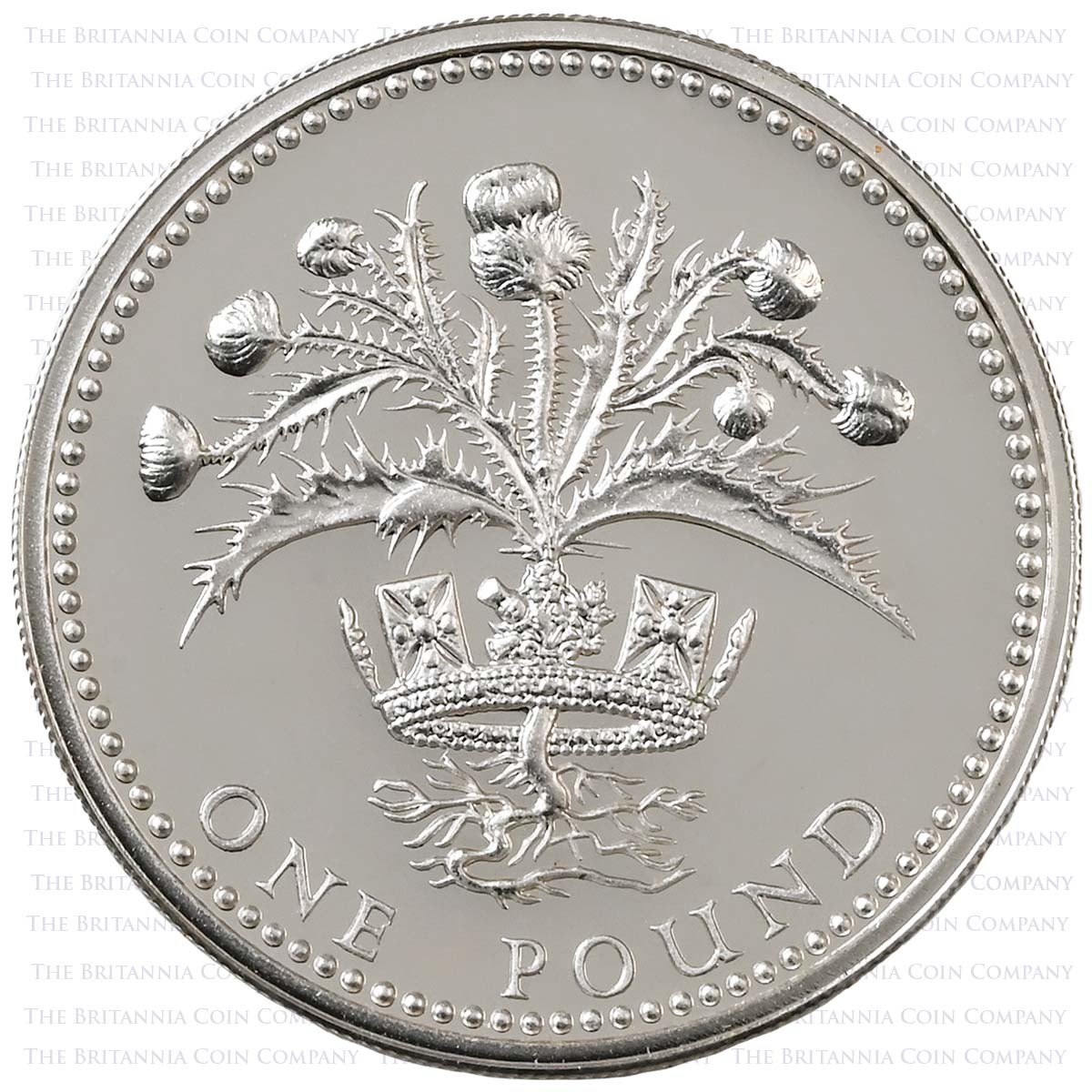 1984 Scottish Thistle £1 Piedfort Silver Proof Reverse