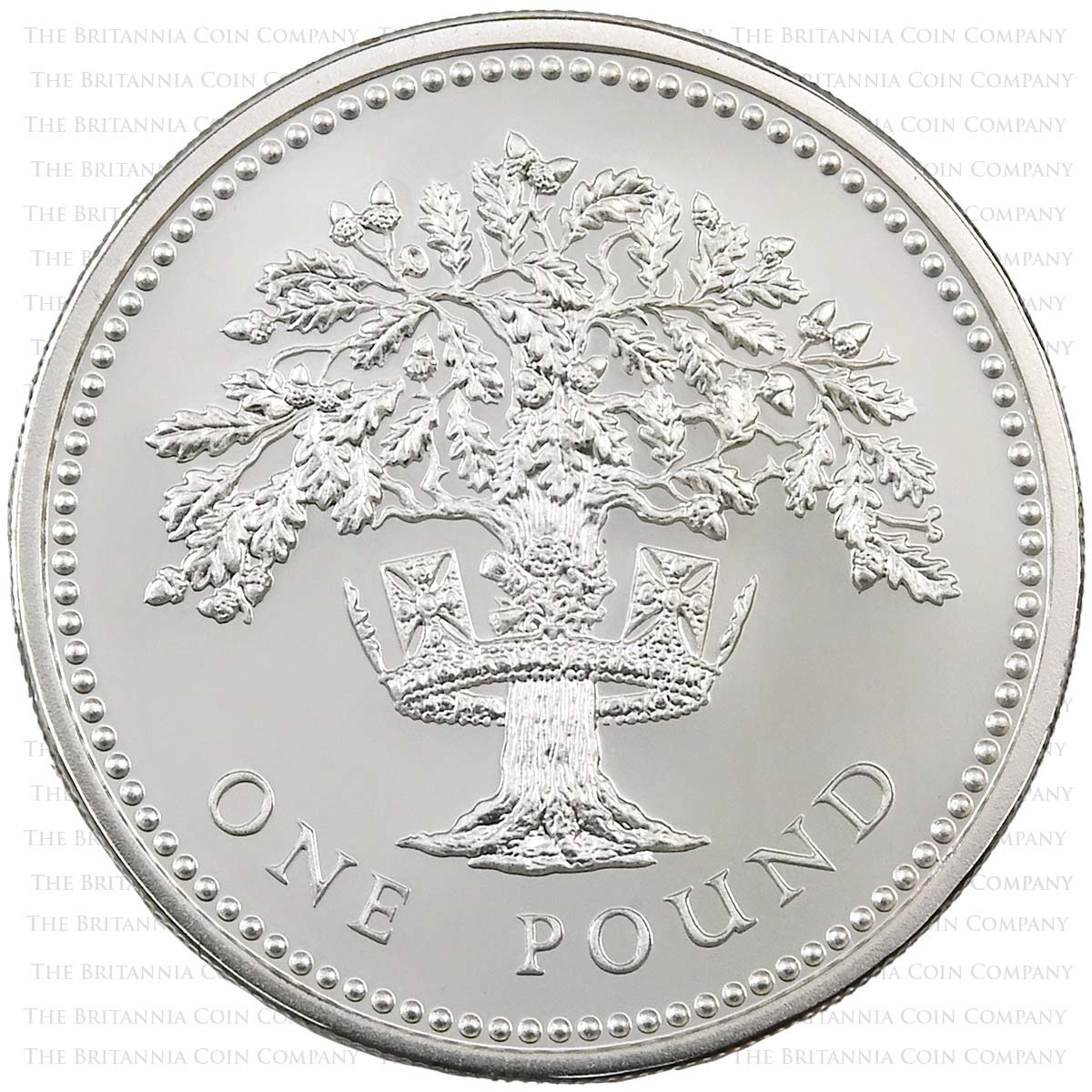 1987 English Oak Tree £1 Piedfort Silver Proof Reverse