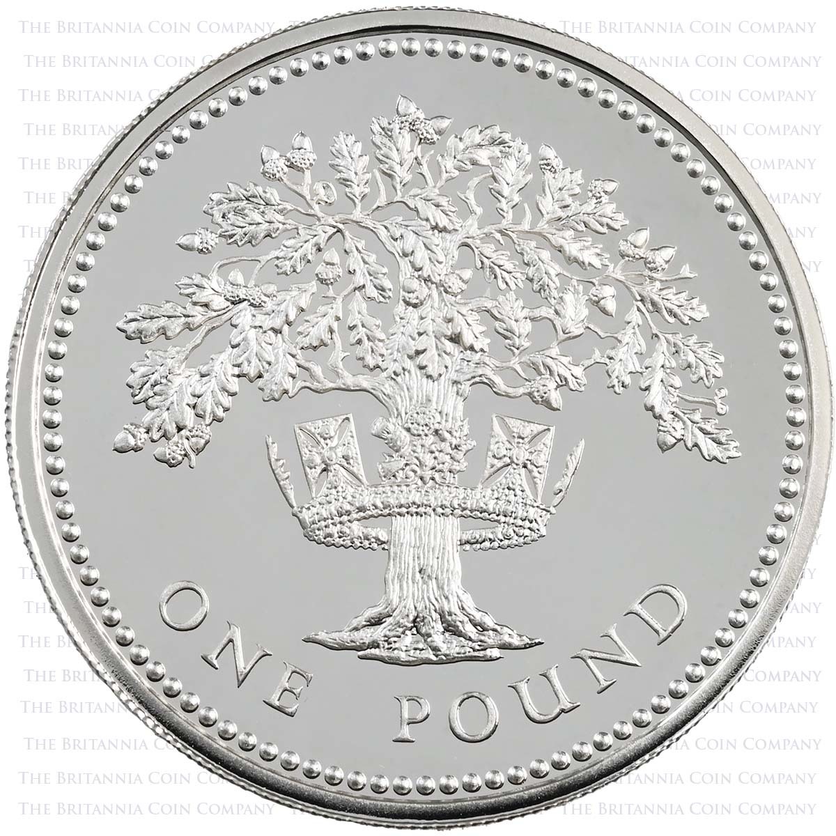 1987 English Oak Tree £1 Silver Proof Reverse