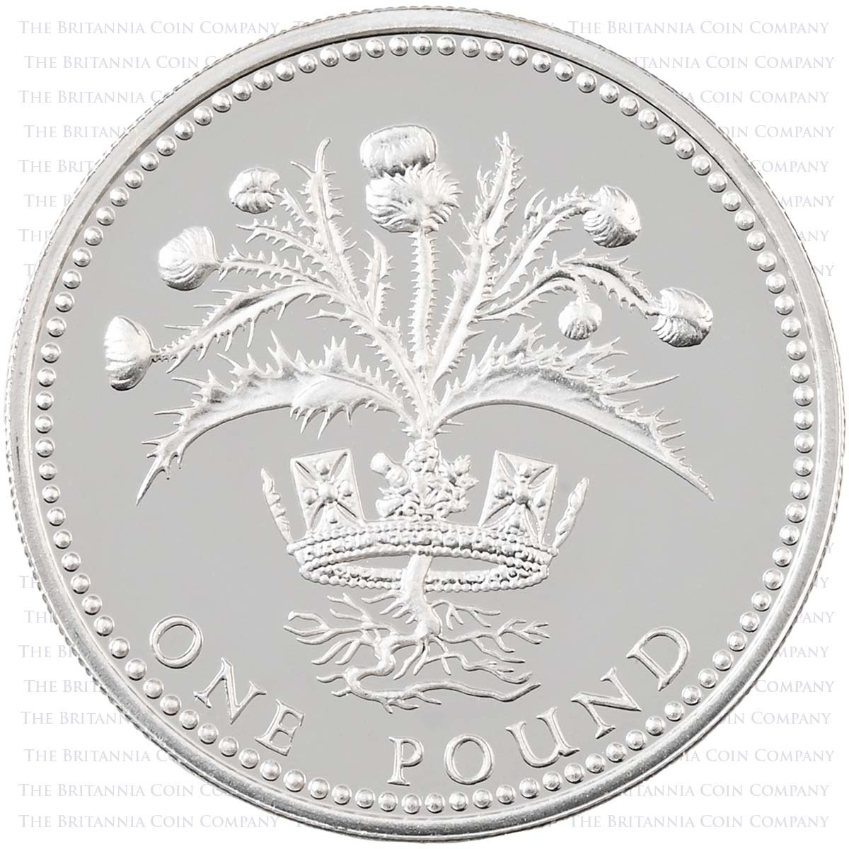 1989 Scottish Thistle £1 Piedfort Silver Proof Reverse