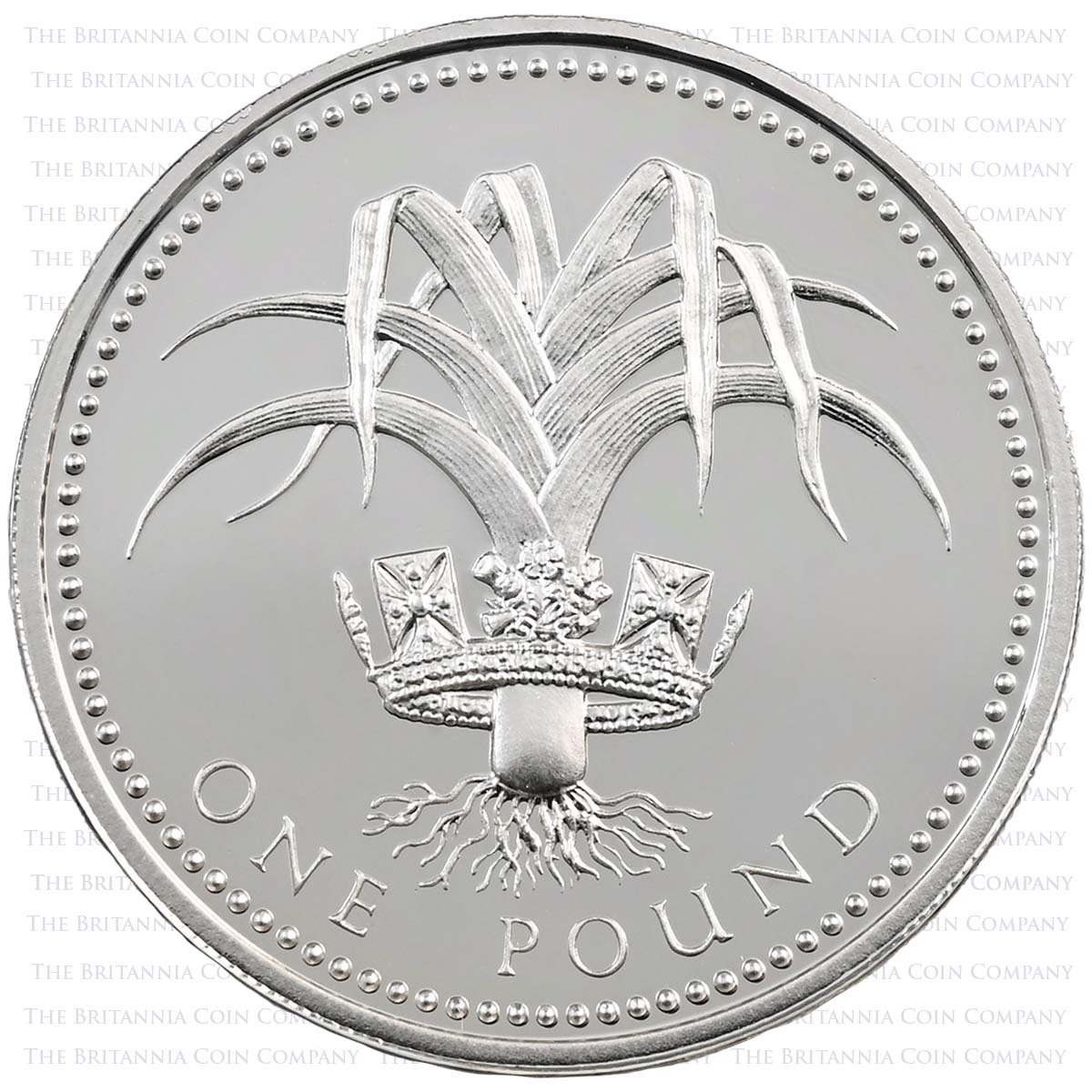 1990 Welsh Leek £1 Silver Proof Reverse