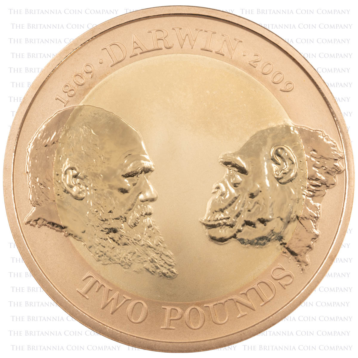 2009 Charles Darwin Two Pound Gold Proof Coin Reverse