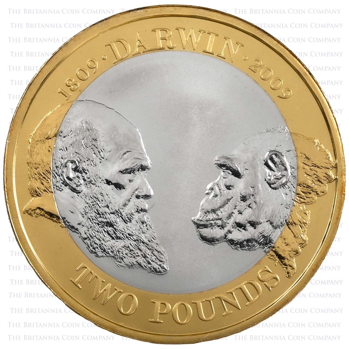 2009 Charles Darwin Two Pound Piedfort Silver Proof Coin Reverse