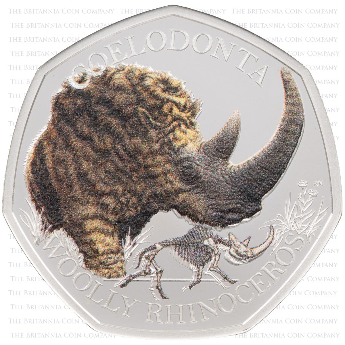 Reverse of the UKIAGWRSPC 2024 Woolly Rhinoceros Fifty Pence Colored Silver Proof Ice Age Giants Coin