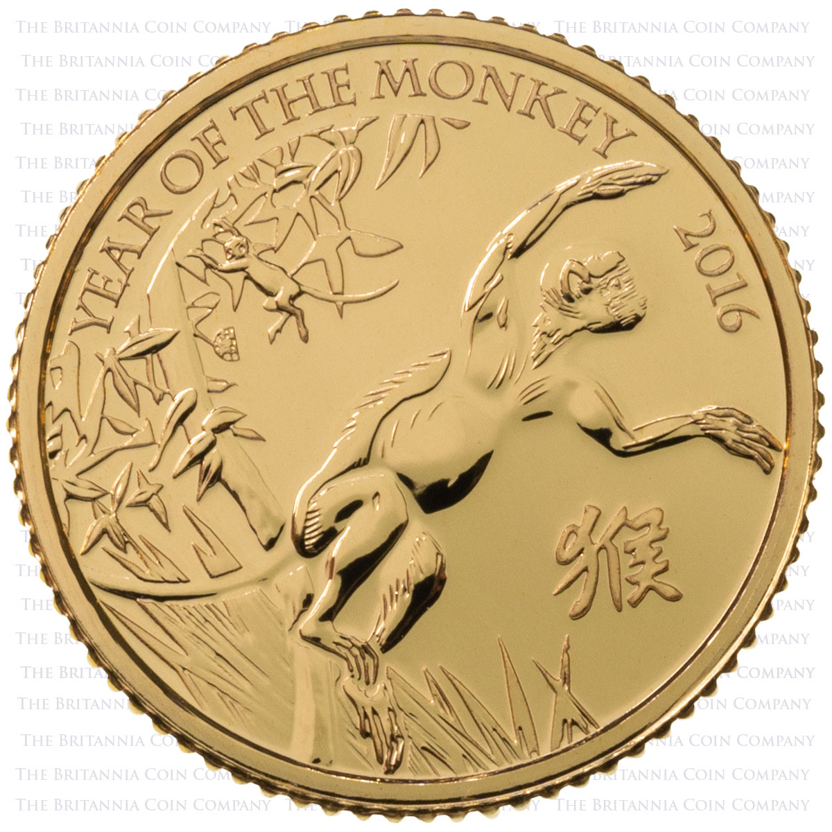 UKM16GT 2016 Lunar Year Of The Monkey Tenth Ounce Gold Brilliant Uncirculated Coin Reverse