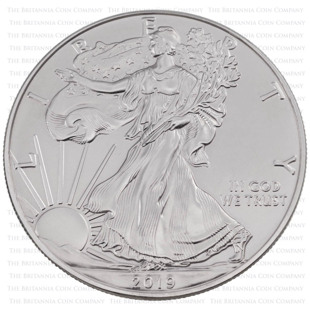 2019 American Silver Eagle 1oz Bullion Coin